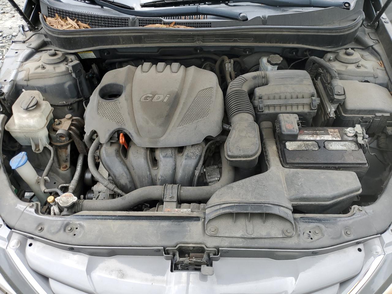 5NPEB4AC7DH732070 2013 Hyundai Sonata Gls