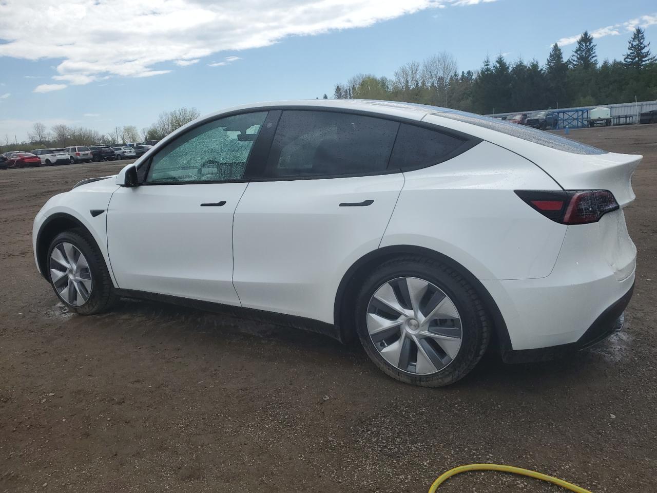 LRWYGDFD8PC967381 2023 Tesla Model Y