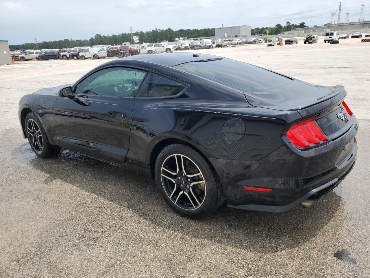 2019 Ford Mustang vin: 1FA6P8TH0K5181165