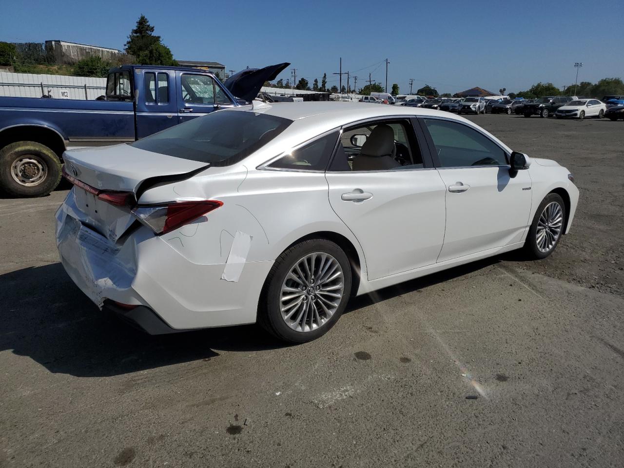 2019 Toyota Avalon Xle vin: 4T1B21FB9KU009756