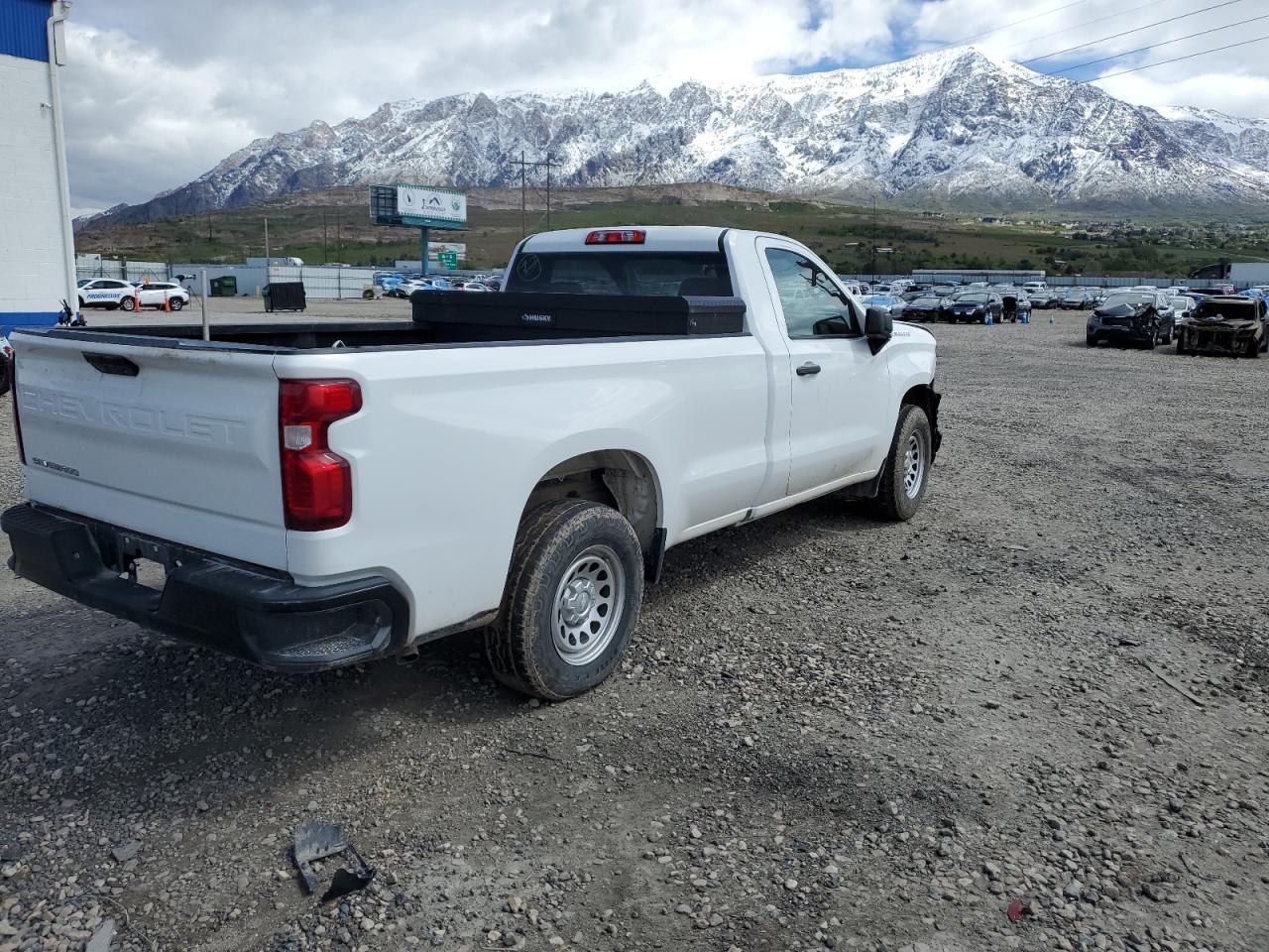 3GCNWAEH0MG195060 2021 Chevrolet Silverado C1500