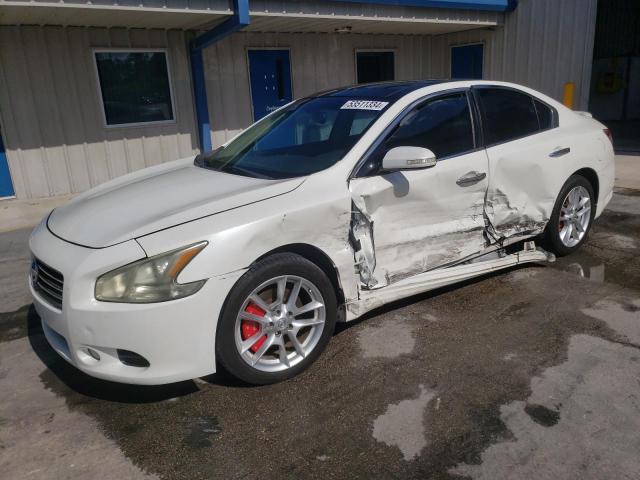 2011 Nissan Maxima S VIN: 1N4AA5AP0BC864807 Lot: 53511334