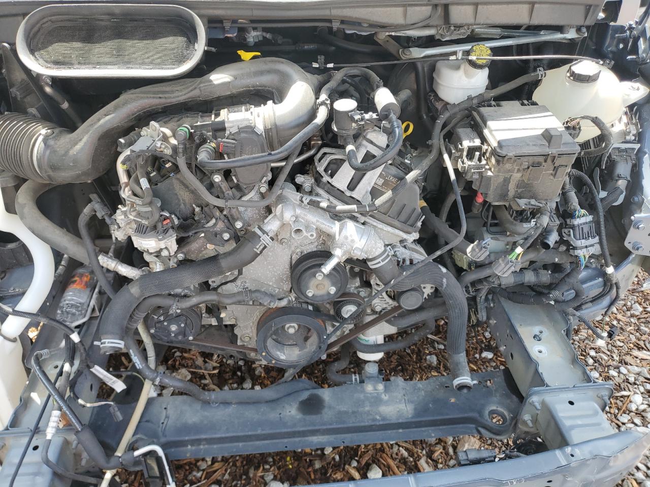 1FDDF6P8XMKA55009 FORD TRANSIT 2021