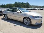 LEXUS ES 350 photo