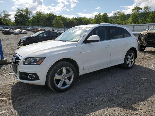 2011 Audi Q5 Premium Plus VIN: WA1DKBFP3BA107871 Lot: 56468954