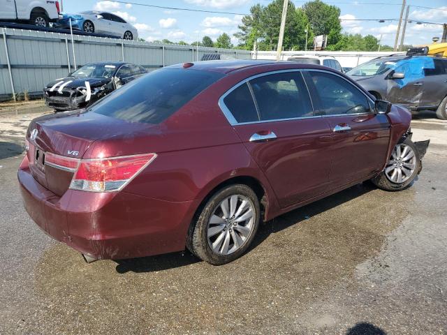 2011 Honda Accord Exl VIN: 1HGCP3F83BA000063 Lot: 55560274