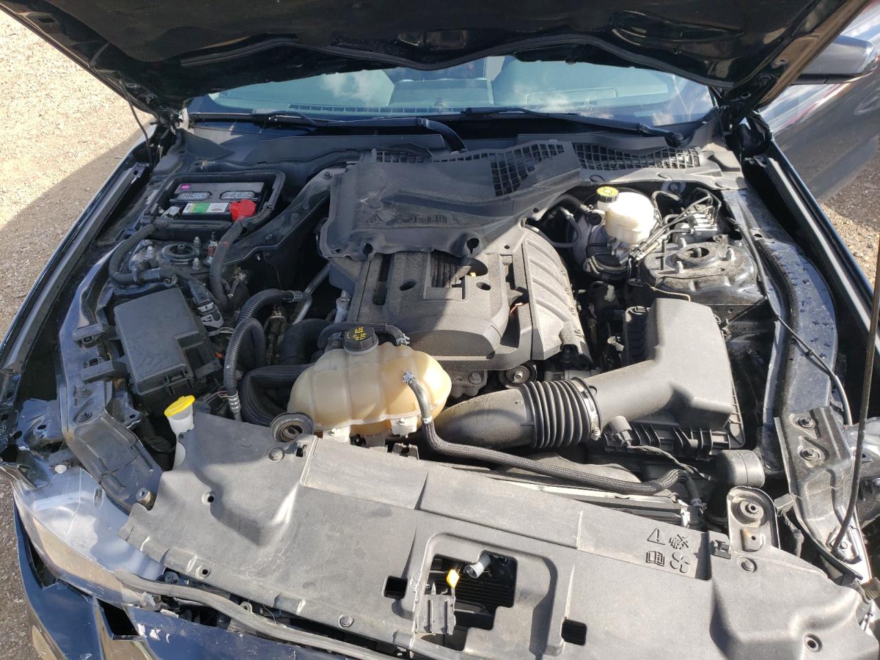 1FA6P8TH9K5122678 2019 Ford Mustang