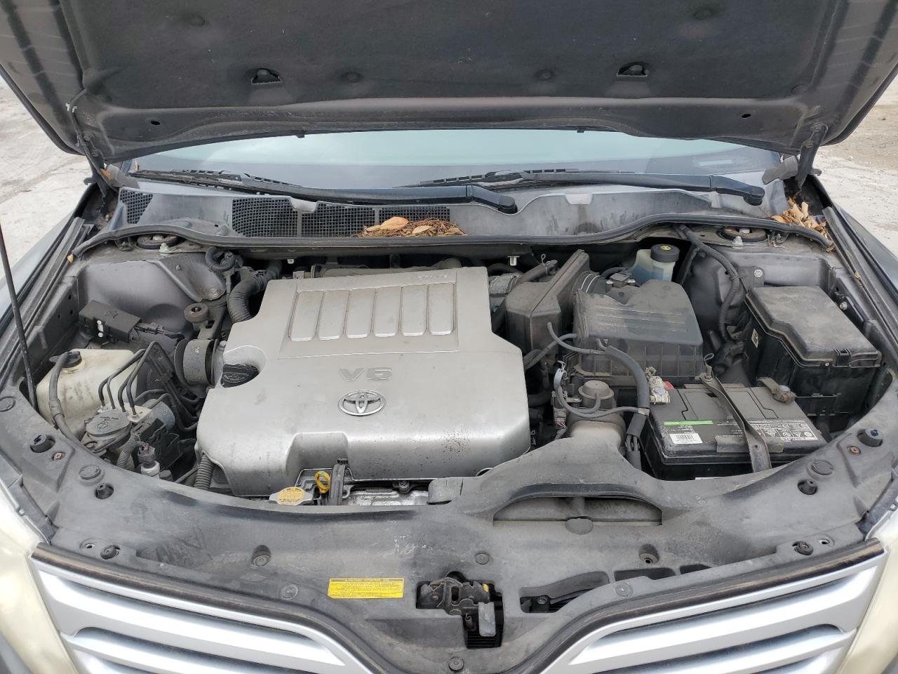 4T3ZK3BB6AU025290 2010 Toyota Venza