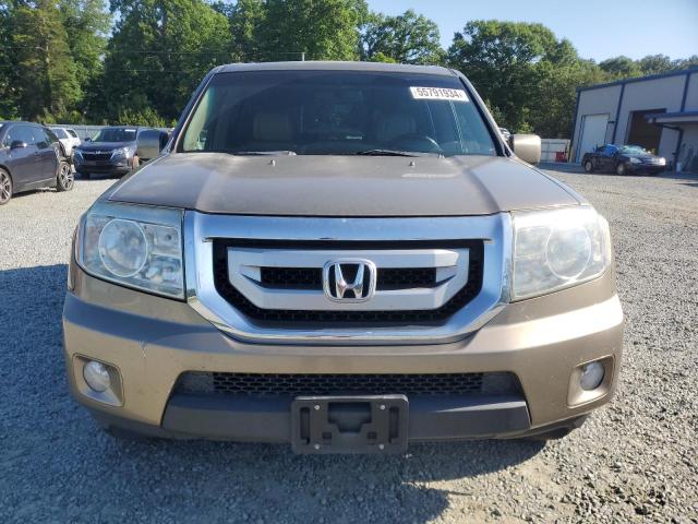 2009 Honda Pilot Exl VIN: 5FNYF38549B028546 Lot: 55791934