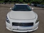 NISSAN MAXIMA S photo