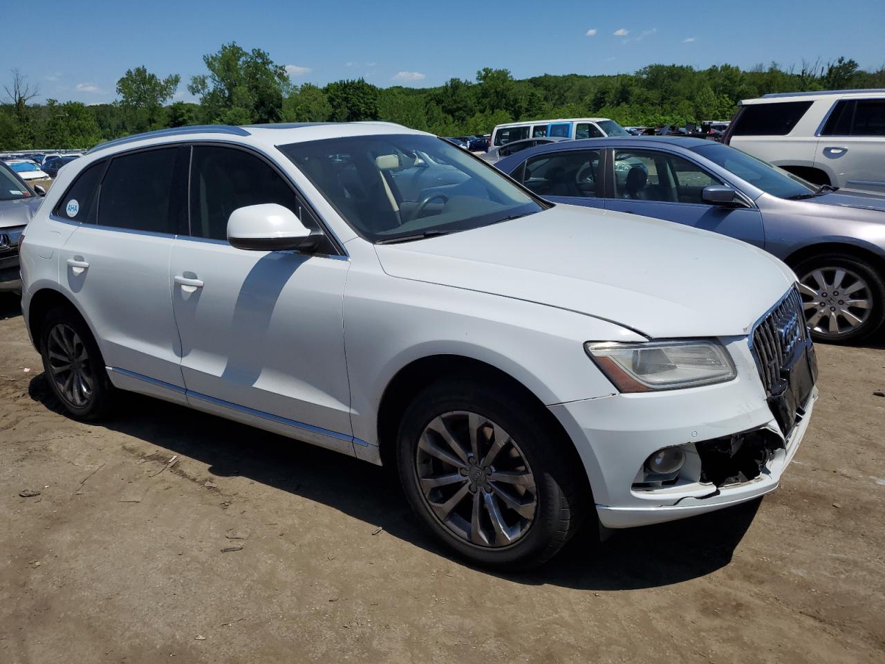 WA1LFAFP4DA062789 2013 Audi Q5 Premium Plus