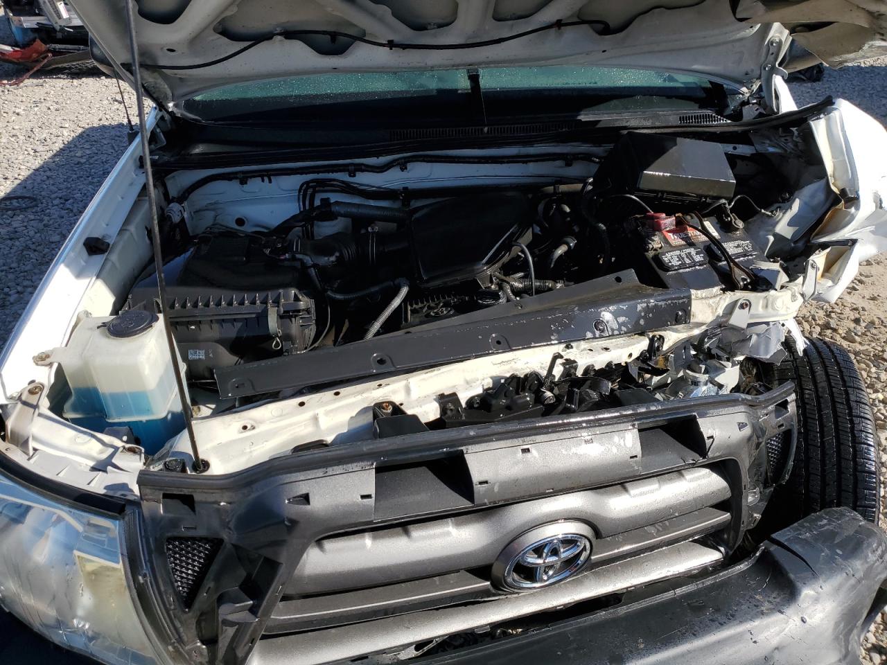 5TENX22N89Z625555 2009 Toyota Tacoma