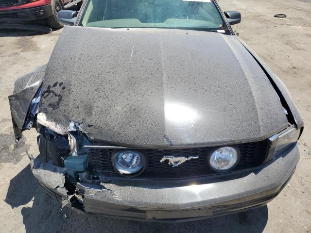 2006 Ford Mustang VIN: 1ZVFT80NX65113569 Lot: 55021184