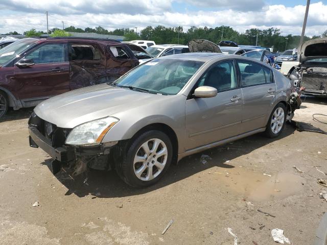 2007 Nissan Maxima Se VIN: 1N4BA41E87C825404 Lot: 53666464