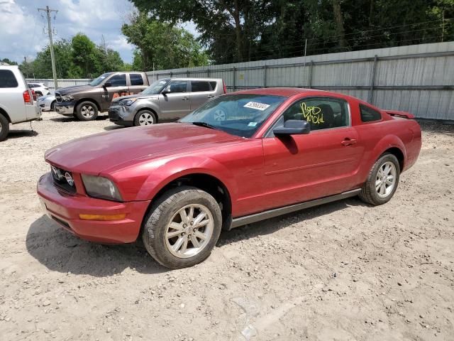 Lot #2510115439 2005 FORD MUSTANG salvage car
