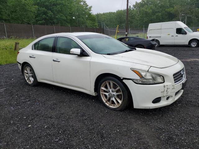 2009 Nissan Maxima S VIN: 1N4AA51E89C804282 Lot: 53211164