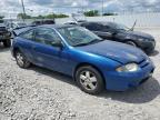 Lot #3055242810 2003 CHEVROLET CAVALIER