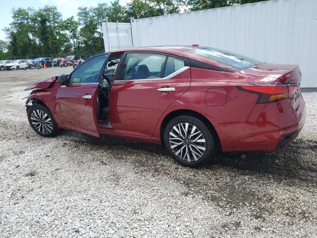 2024 Nissan Altima Sv VIN: 1N4BL4DV2RN387167 Lot: 55802334