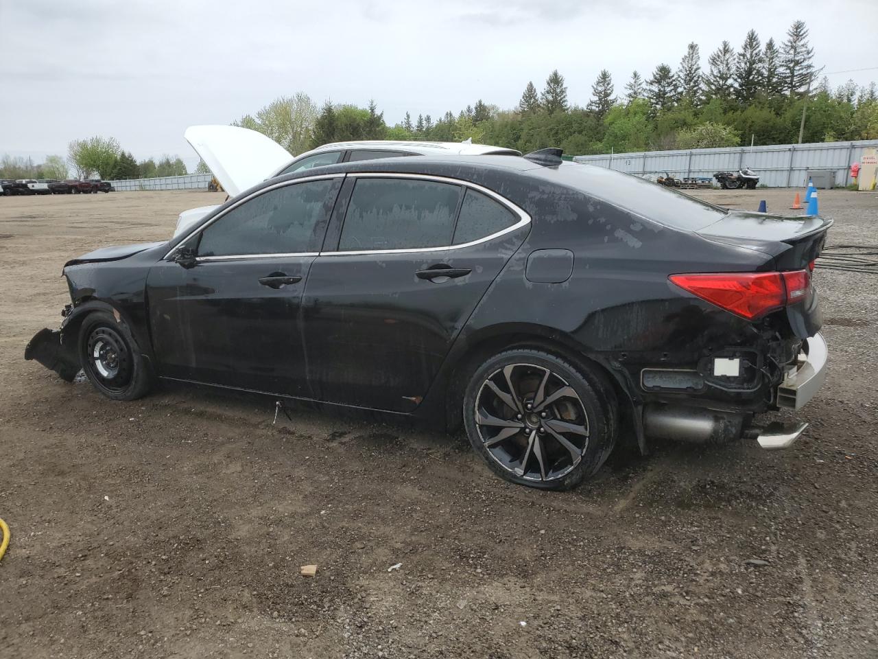 2018 Acura Tlx Advance vin: 19UUB3F76JA800316