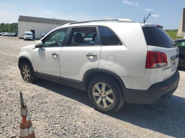 2011 Kia Sorento Base VIN: 5XYKTDA17BG155754 Lot: 55829194