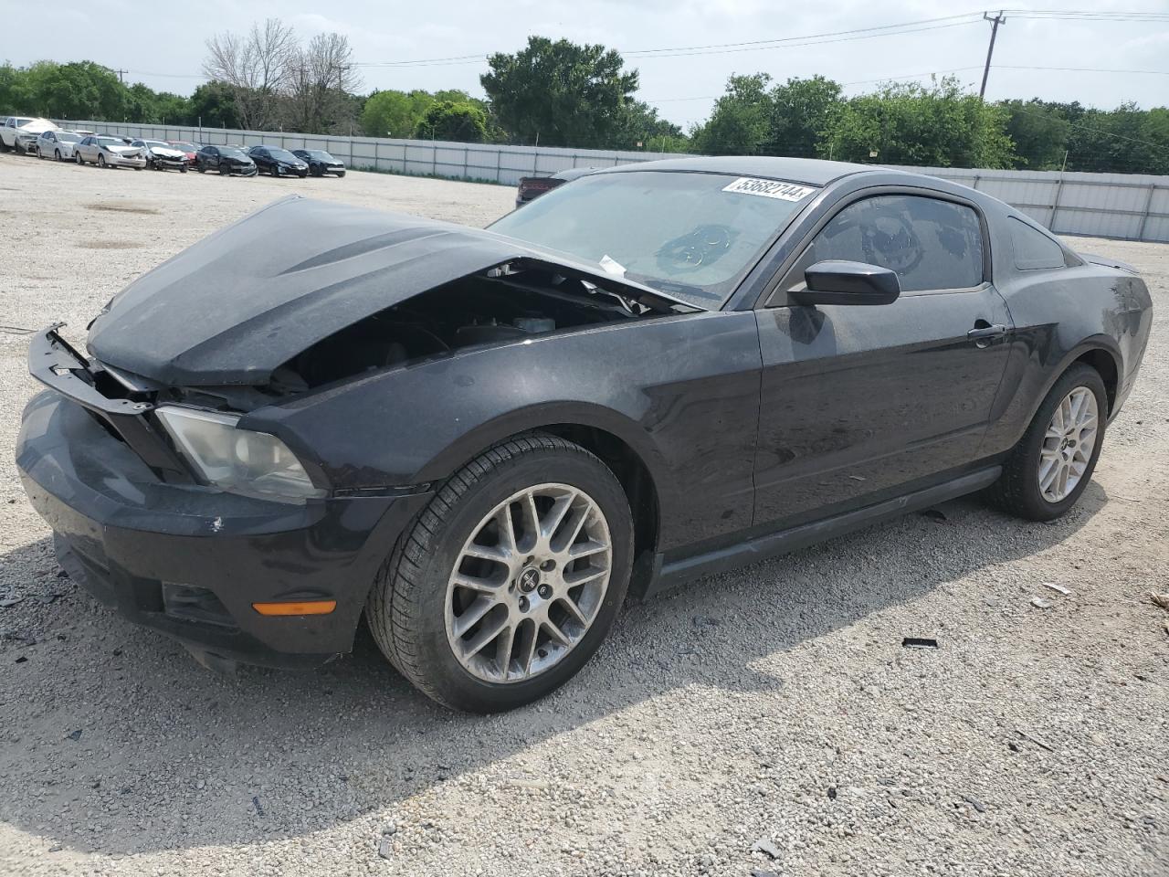 2012 Ford Mustang vin: 1ZVBP8AM3C5231340