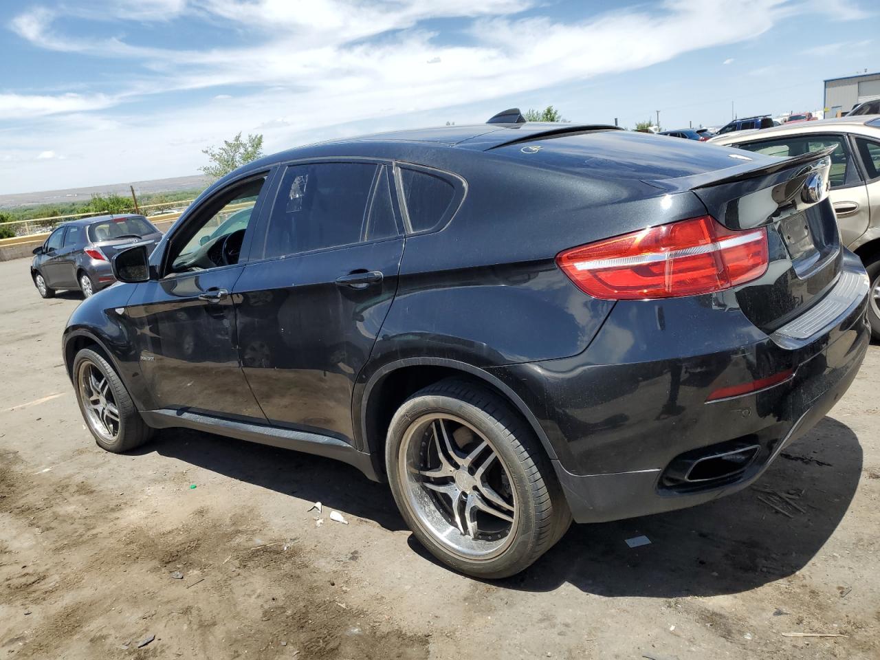 5UXFG8C51DL591616 2013 BMW X6 xDrive50I