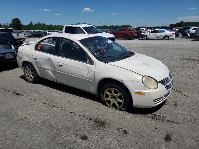 2005 Dodge Neon Sxt VIN: 1B3ES56CX5D198800 Lot: 57065524