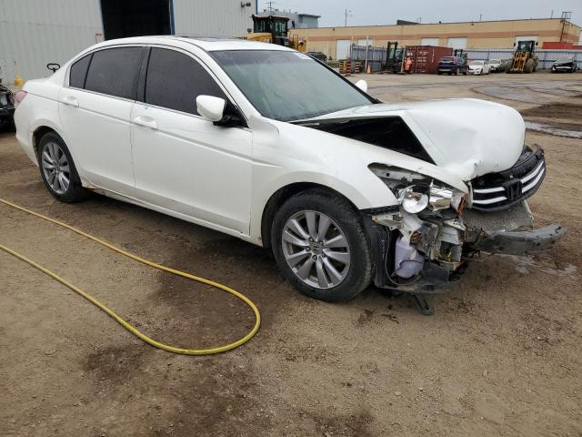 2011 Honda Accord Exl VIN: 1HGCP2F84BA800431 Lot: 53096374