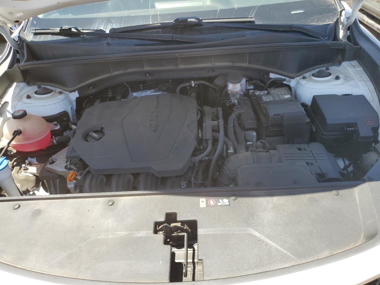 5XYRG4LCXNG075113 2022 Kia Sorento Lx