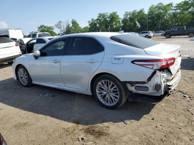 4T1B11HK9KU775633 2019 TOYOTA CAMRY - Image 2