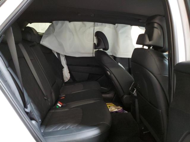 2024 KIA SPORTAGE X - 5XYK6CDFXRG210944
