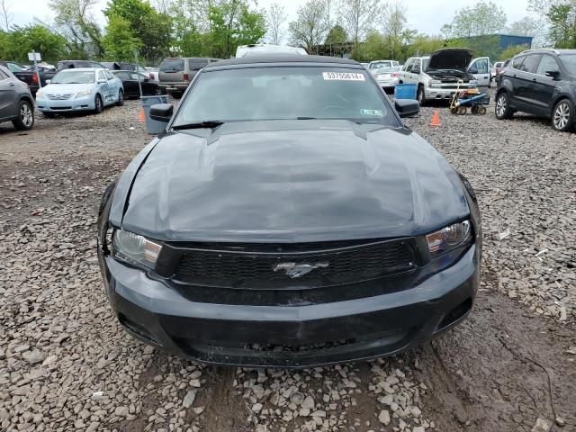 2010 Ford Mustang VIN: 1ZVBP8ENXA5116637 Lot: 53755614