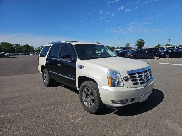 Lot #2507374536 2007 CADILLAC ESCALADE L salvage car