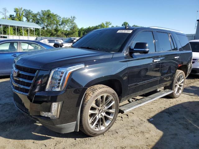 1GYS3CKJ6LR296613 Cadillac Escalade P