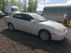 Lot #2991345357 2002 LEXUS ES 300