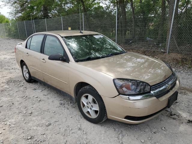 2005 Chevrolet Malibu Ls VIN: 1G1ZT54875F243443 Lot: 54765904