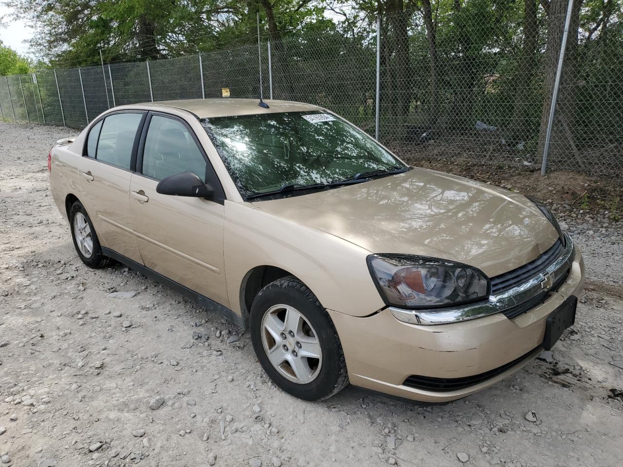 1G1ZT54875F243443 2005 Chevrolet Malibu Ls