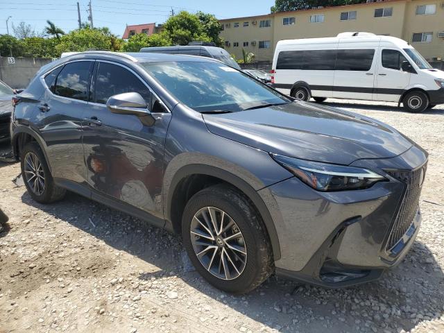 2023 LEXUS NX 250 2T2ADCAZXPC005645