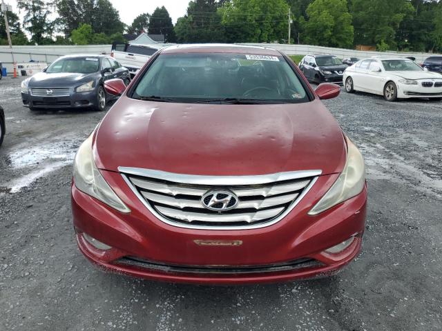 2011 Hyundai Sonata Se VIN: 5NPEC4AC6BH120081 Lot: 53536634