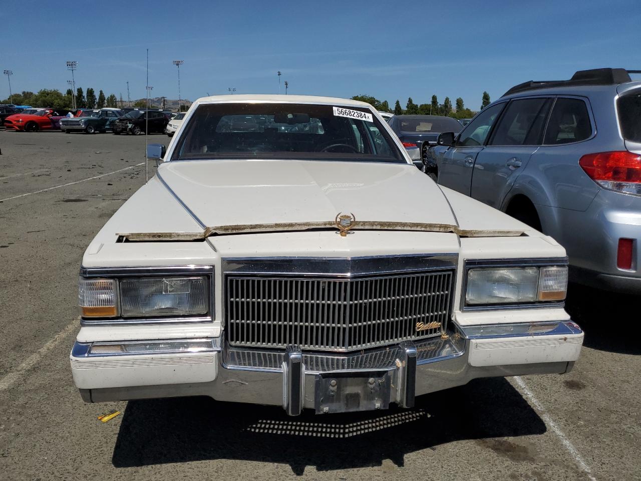 1G6DW5479MR724312 1991 Cadillac Brougham