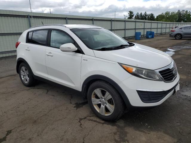 2013 Kia Sportage Lx VIN: KNDPBCA21D7387973 Lot: 54969014