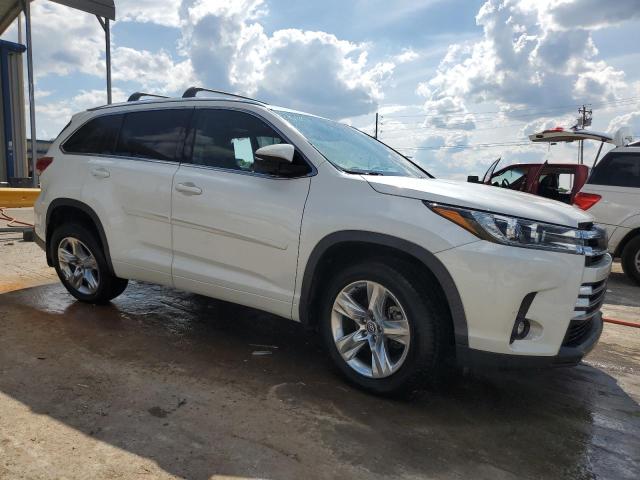 2019 Toyota Highlander Limited VIN: 5TDDZRFH8KS982384 Lot: 55724044