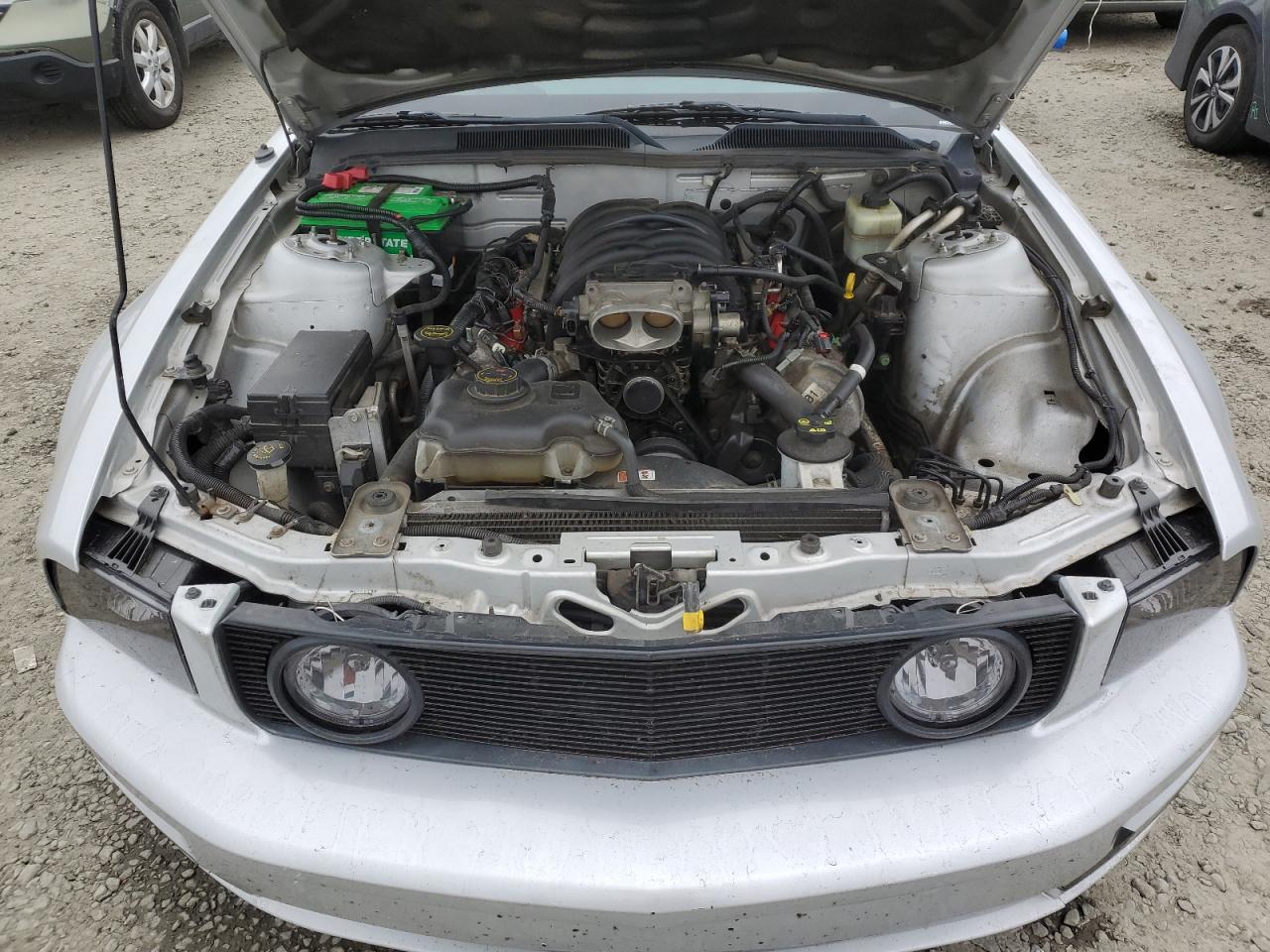 1ZVFT82H655115891 2005 Ford Mustang Gt