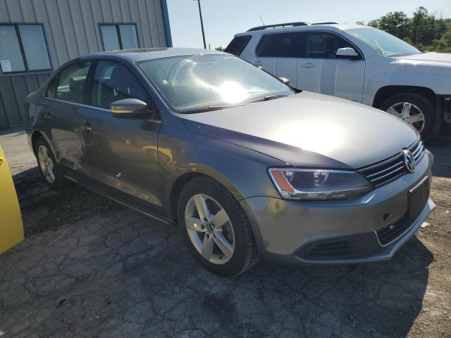 2013 Volkswagen Jetta Tdi VIN: 3VWLL7AJ0DM389727 Lot: 56989694