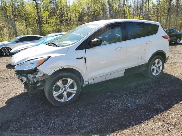 2016 Ford Escape Se VIN: 1FMCU9G98GUA46832 Lot: 50187114