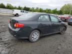 Lot #2701172266 2010 TOYOTA COROLLA BA