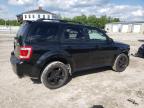 Lot #3304691922 2011 FORD ESCAPE XLT