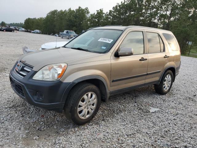 2006 Honda Cr-V Ex VIN: JHLRD68806C028870 Lot: 53866254