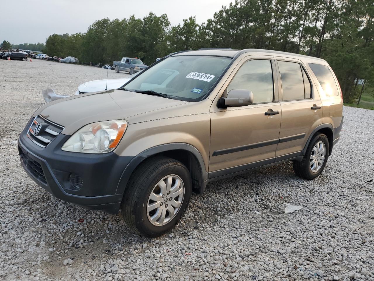 JHLRD68806C028870 2006 Honda Cr-V Ex