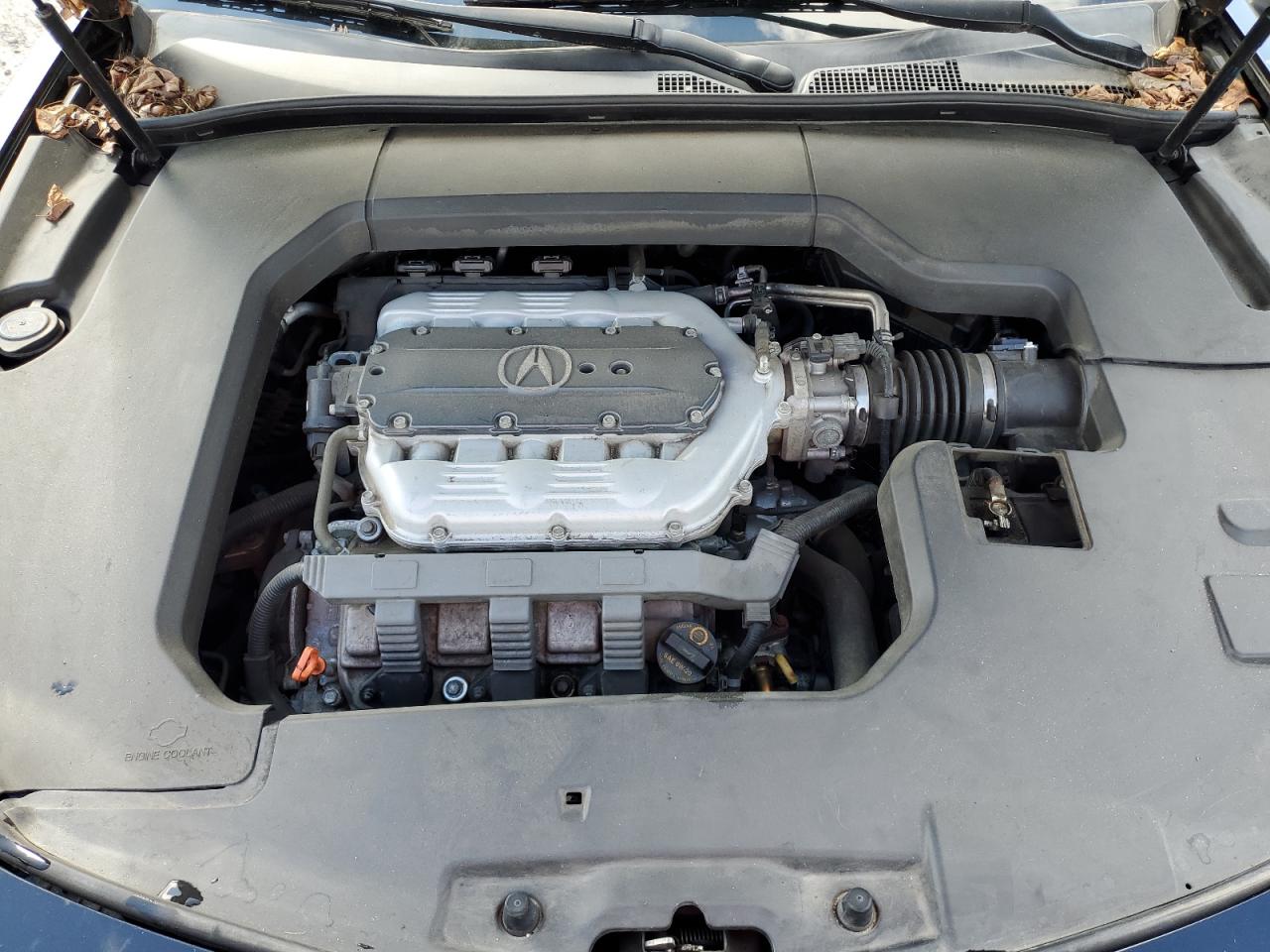 19UUA8F55EA005715 2014 Acura Tl Tech